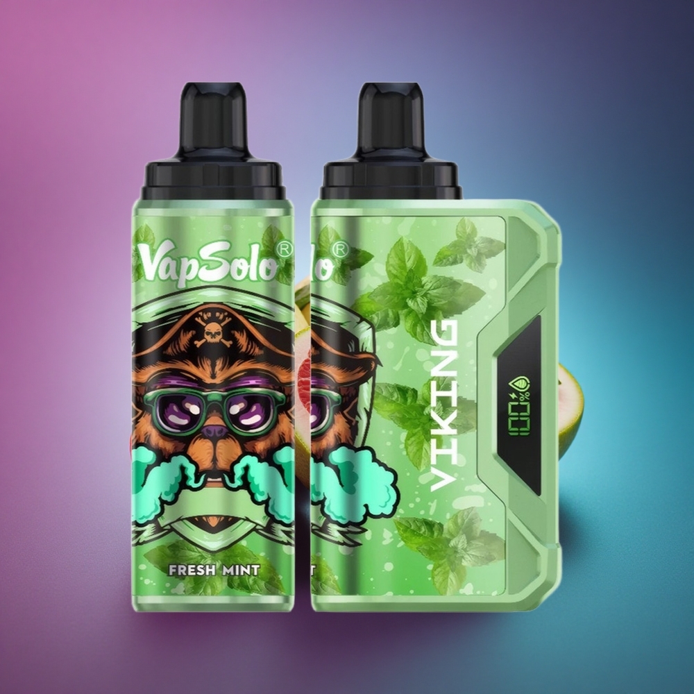 VapSolo VIKING 12000 Puffs Menta Fresca 22ml Nicotina 20mg/ml Tipo-C